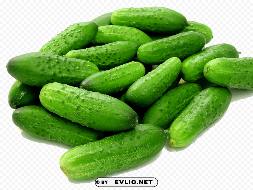 Transparent cucumbers PNG format with no background PNG background - Image ID e361c2a1