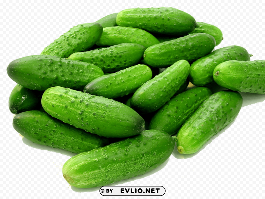 Cucumbers PNG Format With No Background