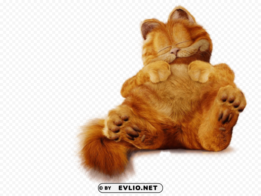 cute garfield ture Isolated PNG Image with Transparent Background