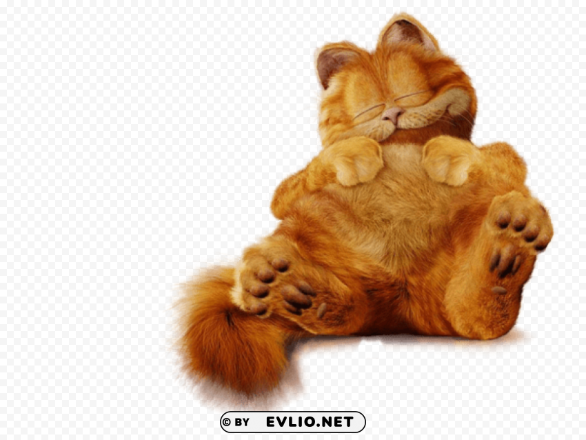 cute garfield ture Isolated PNG Image with Transparent Background clipart png photo - aba06789