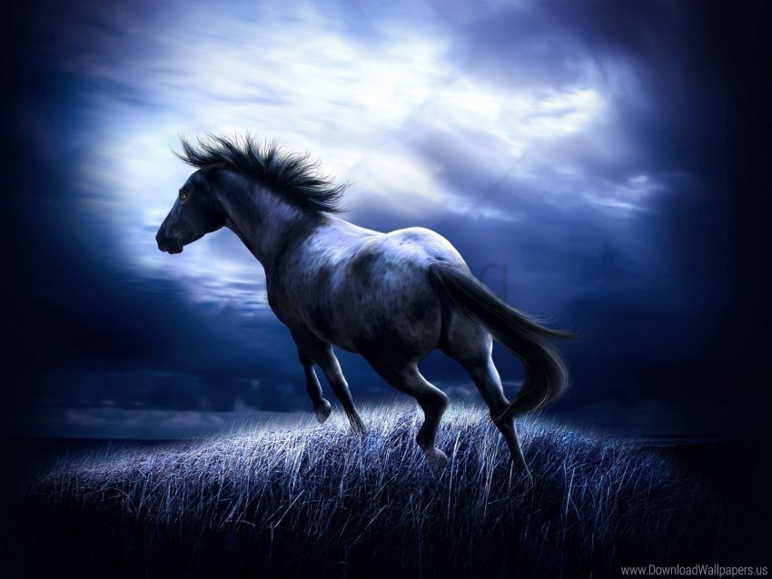 dark horse wallpaper Transparent PNG Illustration with Isolation