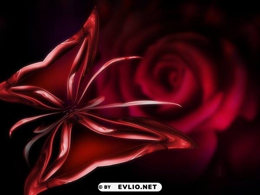 dark-red-rose Isolated Element in Clear Transparent PNG