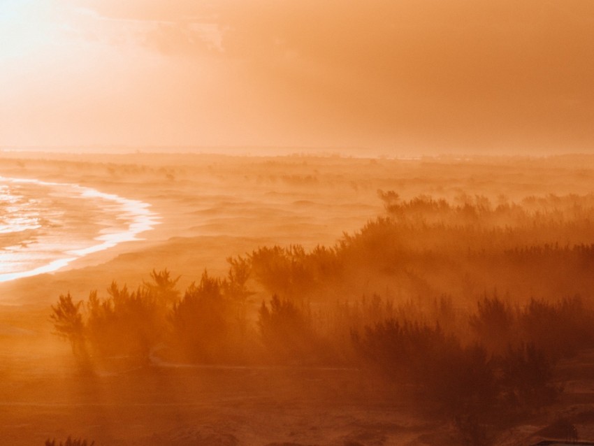 dawn fog sunlight forest shore horizon Transparent Background Isolation in HighQuality PNG