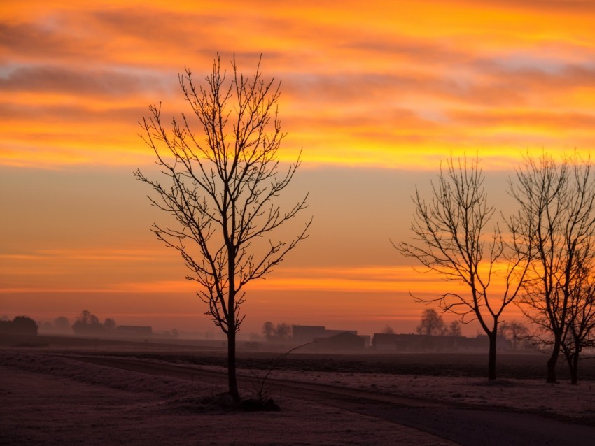 dawn trees fog clouds landscape PNG transparent photos for design