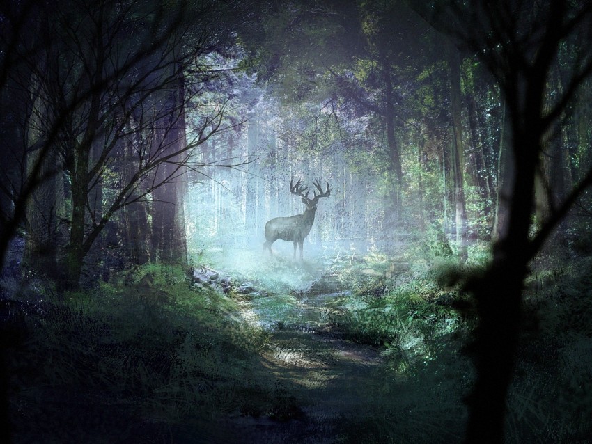 deer forest light art wildlife Free PNG download no background
