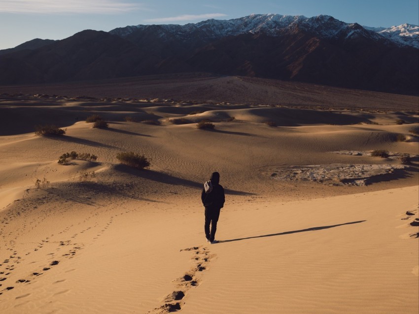 desert loneliness solitude sand traces Isolated Design Element in Clear Transparent PNG