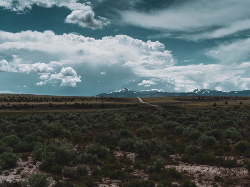 desert mountains road horizon landscape Clear background PNG elements