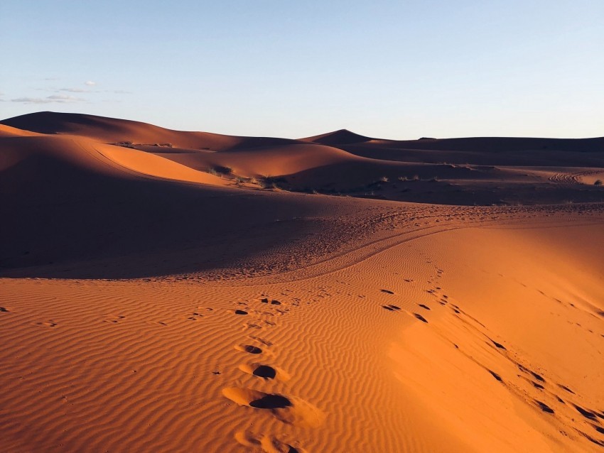 desert sand footprint morocco Transparent graphics