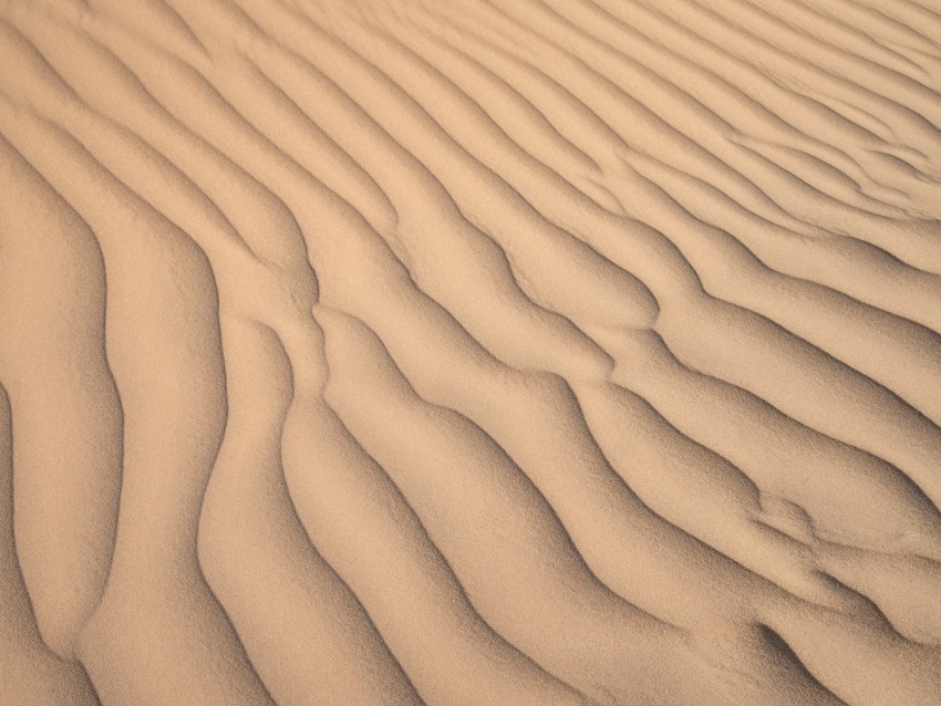 desert sand waves relief texture Transparent PNG Isolated Item