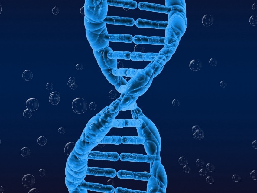 dna spiral genetics twisted PNG for mobile apps