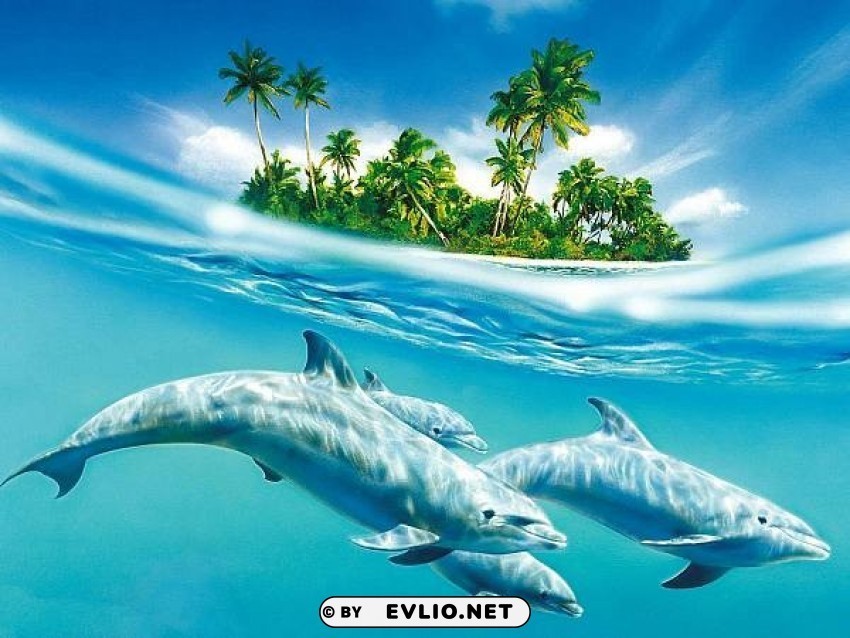 dolphin-blue Transparent background PNG photos