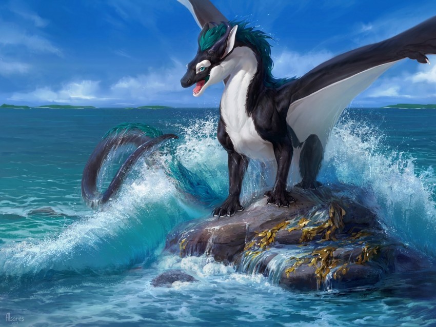 dragon sea rock wave art PNG transparent backgrounds