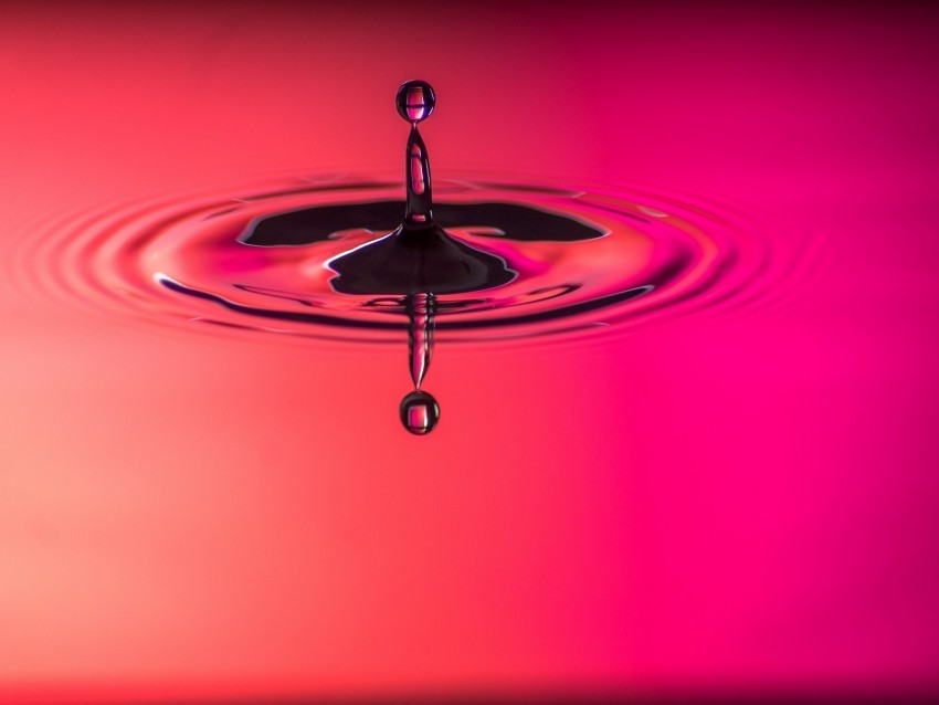drop spray macro pink circles Free PNG images with transparent background