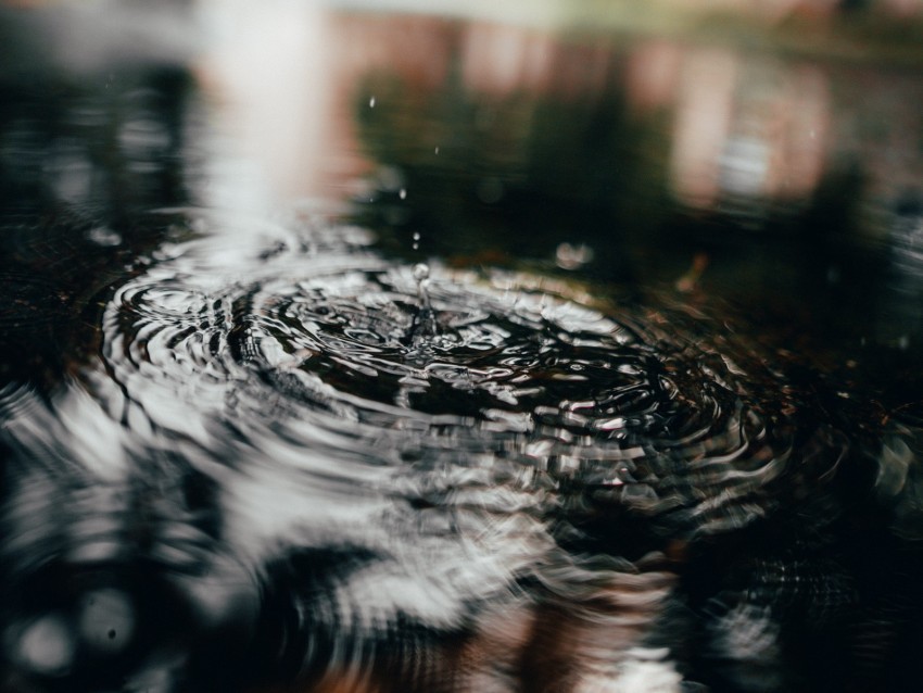 drops water waves macro PNG Image Isolated with HighQuality Clarity