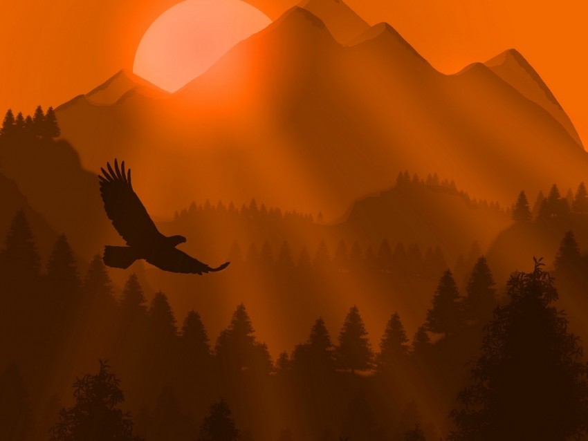 eagle bird sunset mountains art vector Clear PNG pictures assortment