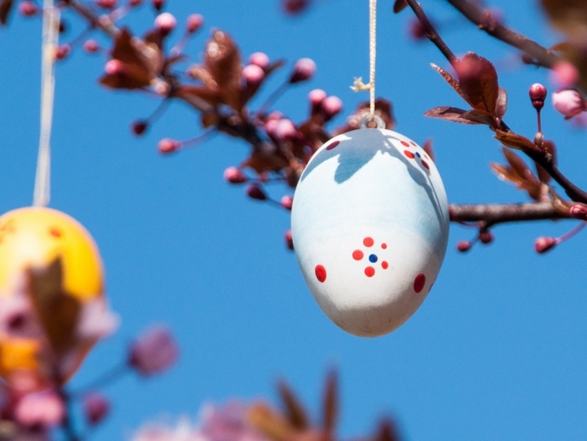 easter egg spring holiday decoration branches Transparent Background PNG Isolated Pattern