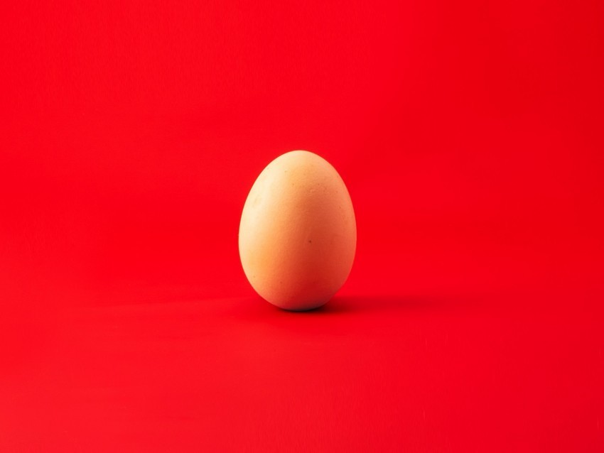 egg chicken egg red minimalism Clear Background Isolated PNG Icon