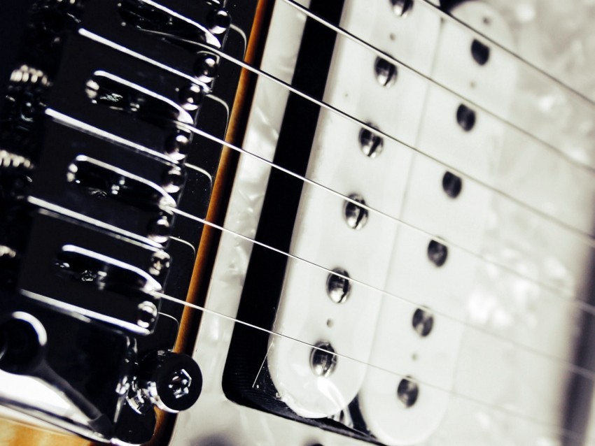 electric guitar strings guitar humbucker musical instrument white Free transparent background PNG 4k wallpaper