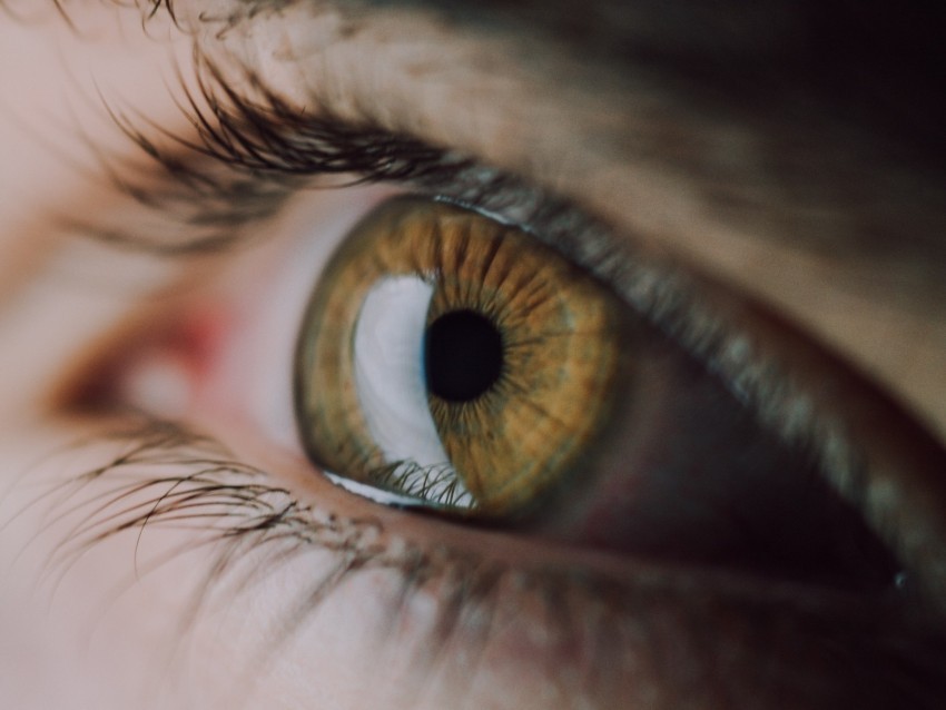 eye eyelashes pupil macro PNG images with alpha background 4k wallpaper
