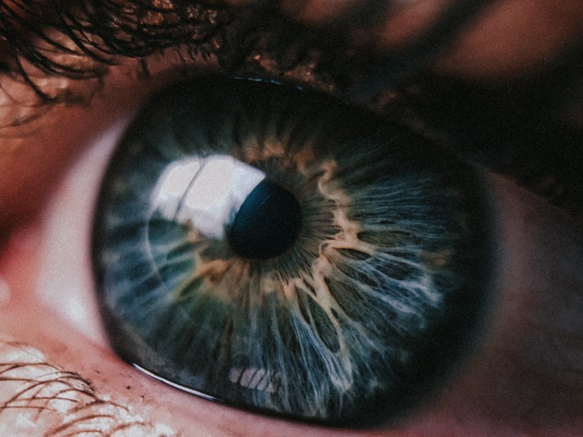 eye pupil closeup highlight eyelashes eyelids HighQuality PNG with Transparent Isolation