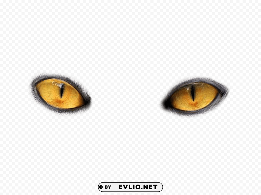 eyes PNG files with transparent backdrop png - Free PNG Images
