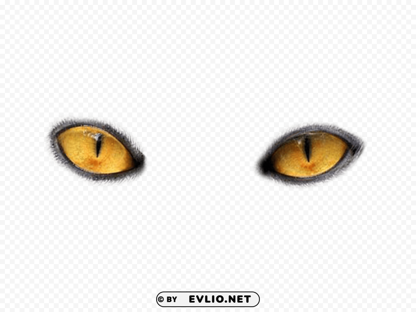 eyes PNG files with transparent backdrop