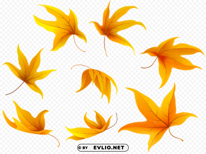 Fall Leaves PNG Images With Alpha Transparency Free