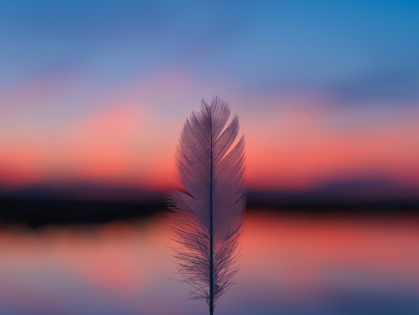 feather blur sunset horizon Transparent design PNG 4k wallpaper