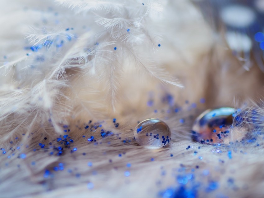 feathers drops glitter macro decoration Transparent Background PNG Isolated Item 4k wallpaper