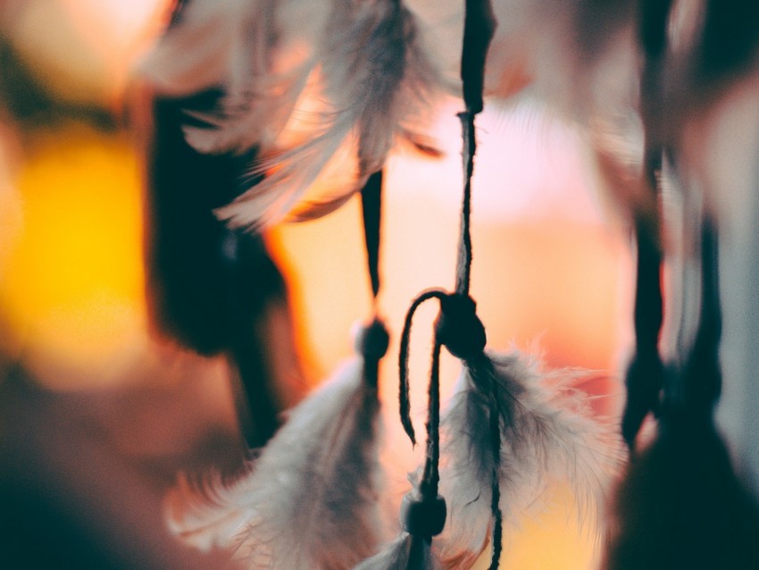 feathers suspension macro blur PNG Image with Transparent Background Isolation