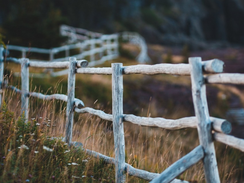 fence fencing wooden meadow pasture PNG transparent design 4k wallpaper