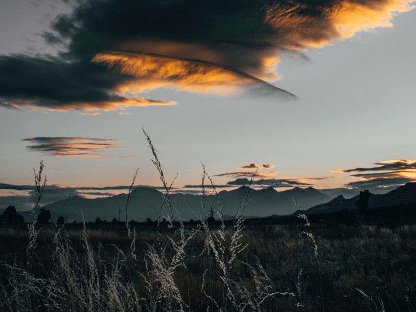 field clouds grass sunset twilight Isolated Graphic on Transparent PNG