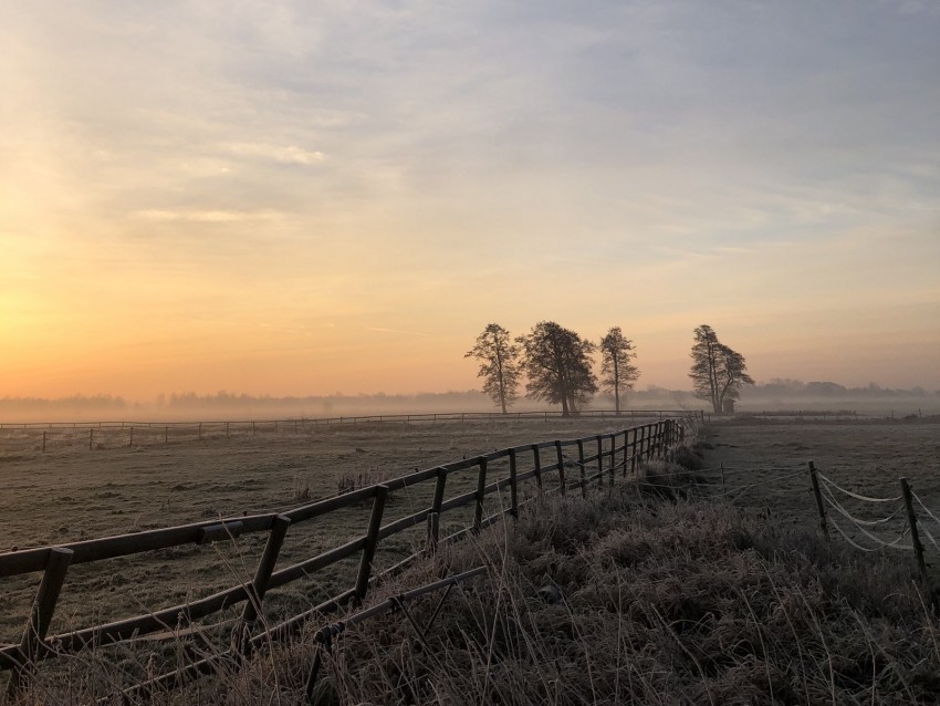 field fog sunrise horizon grass fence trees dawn Clear PNG pictures free