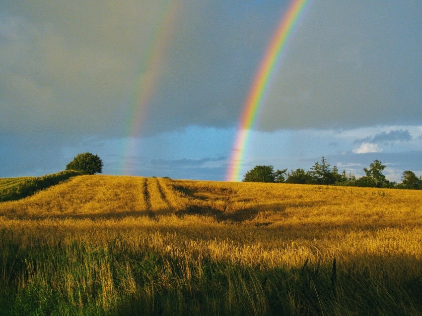 field rainbow landscape sky after rain Transparent Background Isolation in PNG Format