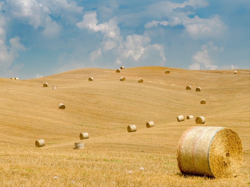 field straw bales hills landscape Clean Background Isolated PNG Illustration