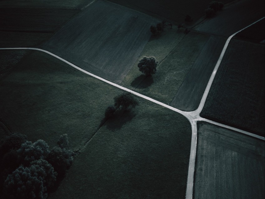 field trees grass aerial view dark PNG images with transparent layering