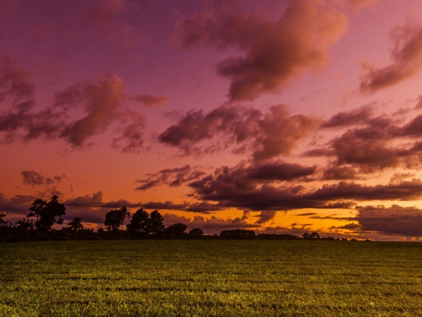 field twilight landscape trees sky clouds PNG transparent images for websites