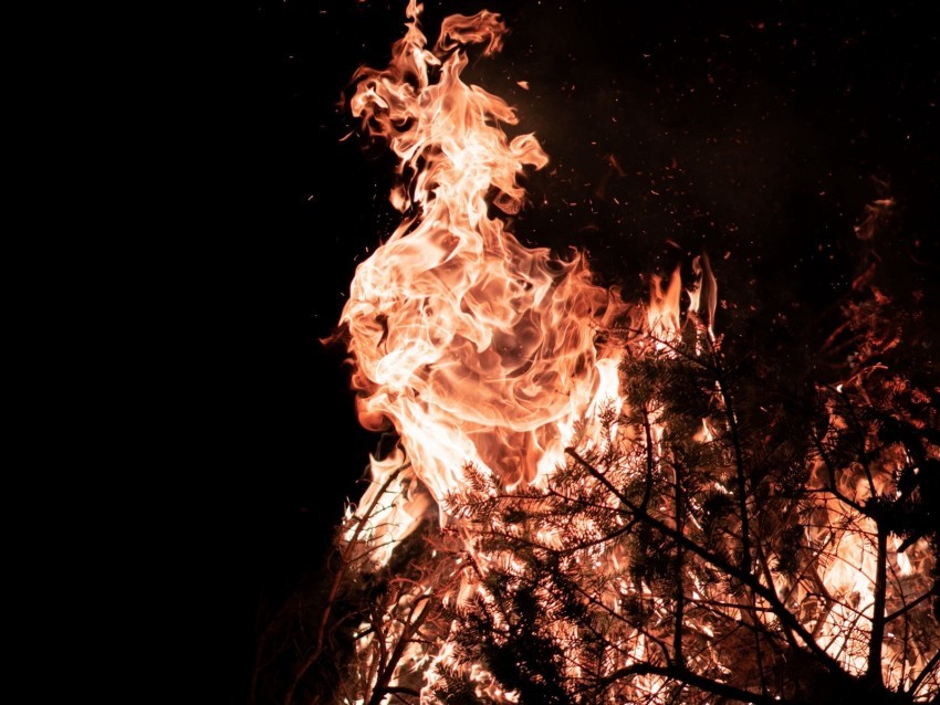 fire flame branches bonfire High-quality PNG images with transparency