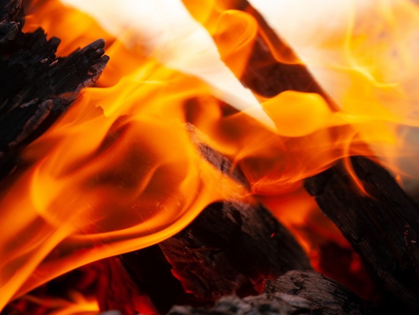fire flame firewood embers ash bonfire Free download PNG images with alpha channel diversity