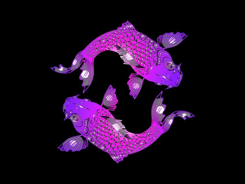fish yin and yang art PNG images with clear backgrounds