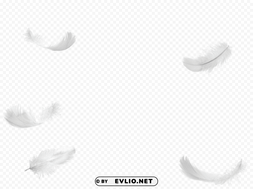 five feathers falling no background PNG Image with Clear Isolated Object