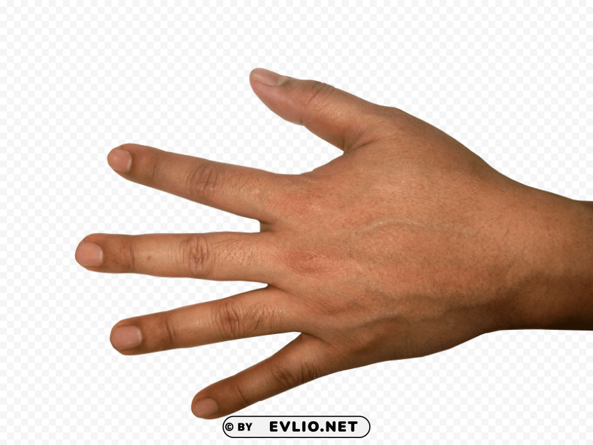 five finger hand Transparent Background Isolation in PNG Format