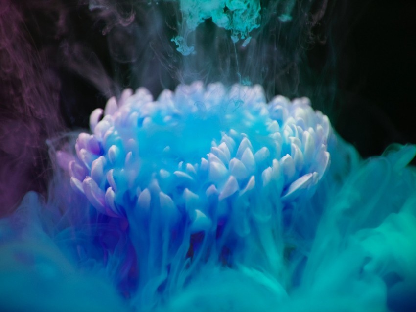 flower smoke paint blue shroud Free transparent PNG