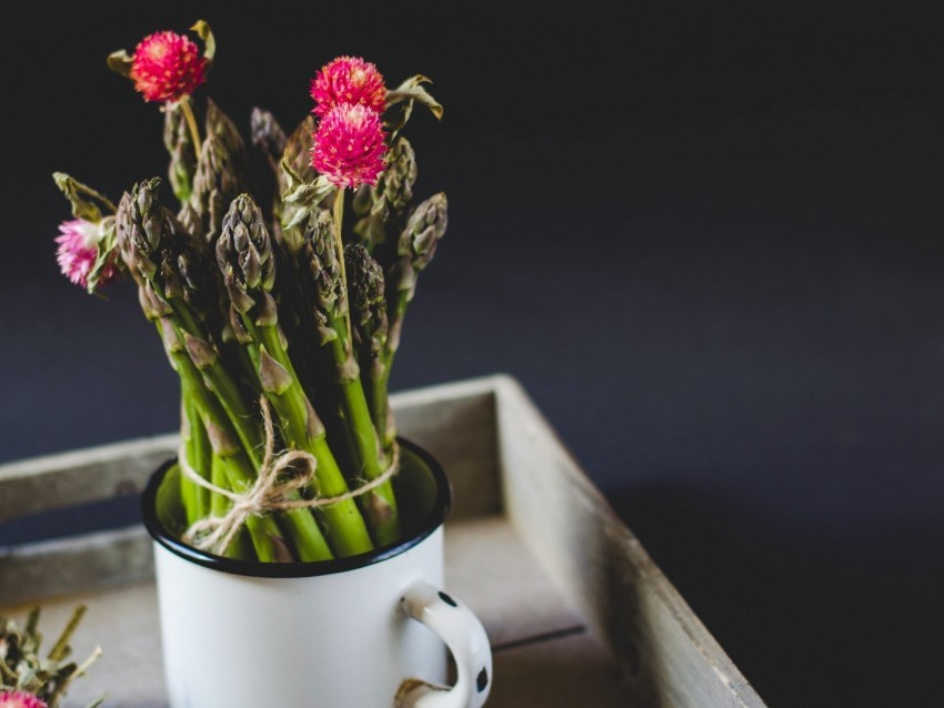 flowers asparagus mug bouquet plants HighResolution Transparent PNG Isolated Element 4k wallpaper