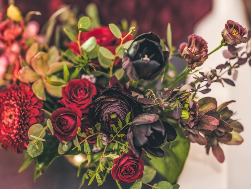 flowers bouquet roses tulips red black PNG download free