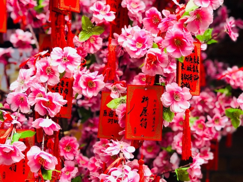 flowers pink branches labels HighQuality Transparent PNG Isolation