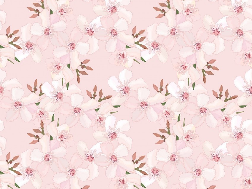 flowers sakura pattern cherry pink tender spring PNG transparent vectors
