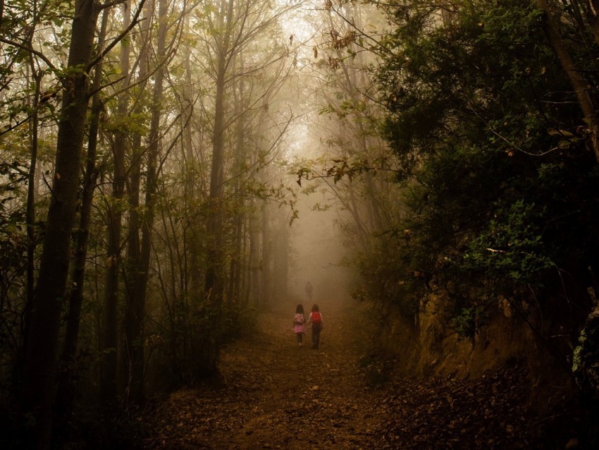 fog forest path children walk PNG transparent photos massive collection