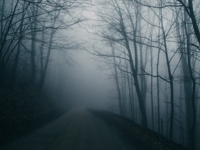 fog road trees gloomy dark Free download PNG images with alpha transparency