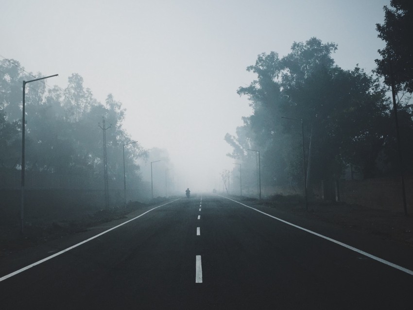 fog road trees markup horizon PNG format with no background